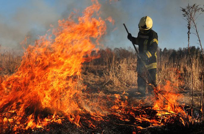Par kūlas dedzināšanu būs krietni bargāki sodi Par kūlas dedzināšanu būs krietni bargāki sodi