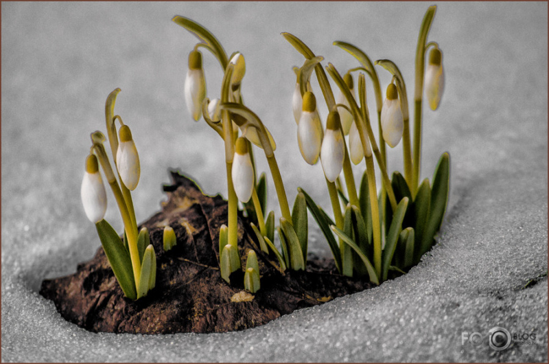 Arī nākamnedēļ Latvijā būs silts, mitrs un vējains laiks