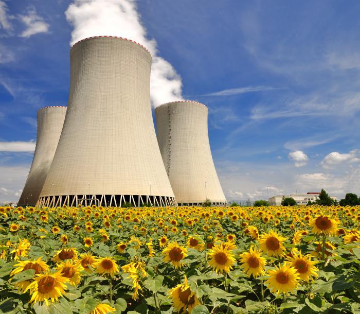Eiropas Komisija rosina klasificēt ieguldījumus gāzes un atomenerģijā kā zaļās investīcijas Eiropas Komisija rosina klasificēt ieguldījumus gāzes un atomenerģijā kā zaļās investīcijas