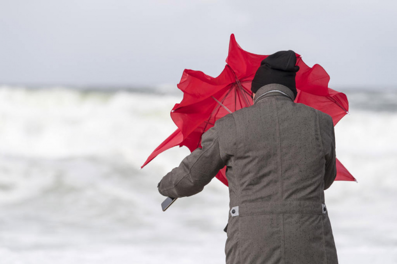 Kritis 17. februāra siltuma rekords; pirmdien pūtīs brāzmains vējš