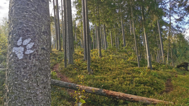 Tukuma pusē ir vairāki objekti, ko šogad apskatīt Latvijas apceļotājiem