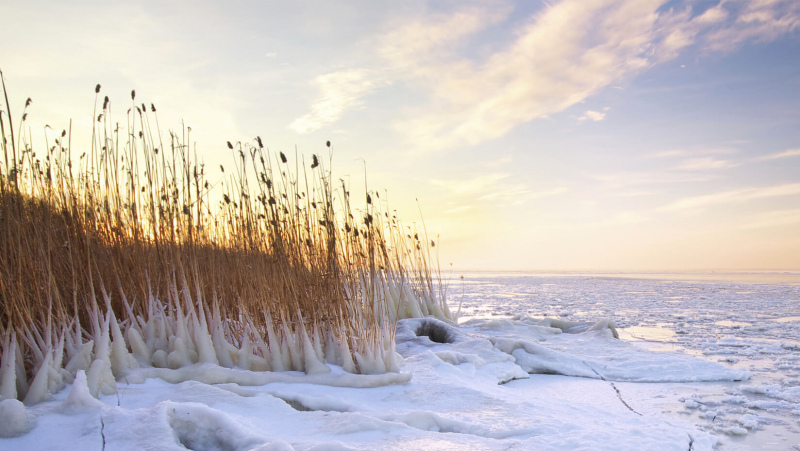 Svētdien Latvijā gaidāma meteoroloģiskā pavasara iestāšanās