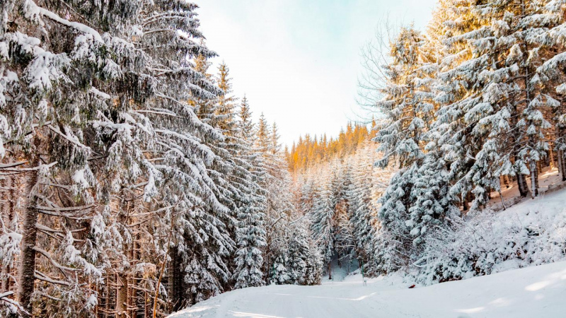 Nākamnedēļ atgriezīsies sals un iespējama stipra snigšana, bet līdz nedēļas beigām sniegs nokusīs
