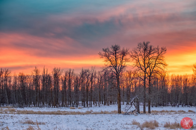 Latvijā atgriezīsies ziema - gaidāms arī sniegs un -10.....