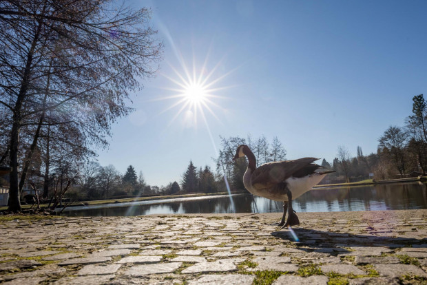 Sestdien, iespējams, būs līdz šim siltākā šī gada diena