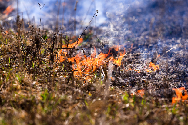 Aizvadītajā gadā Zemgalē pēdējos gados mazākais kūlas ugunsgrēku skaits