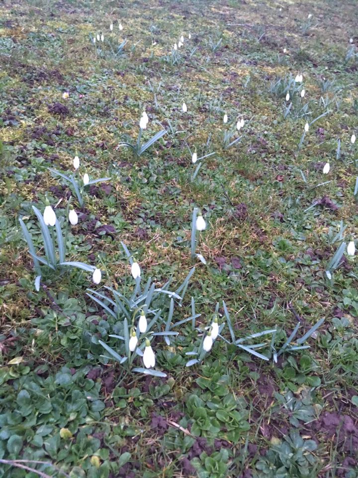 Ceturtdienas pēcpusdienā būs līdz pat  +10 grādus silts