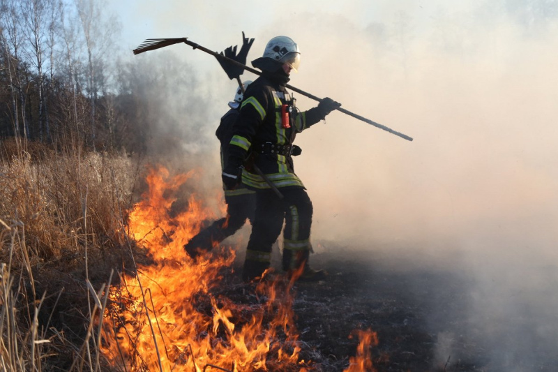 Kūlas dedzināšana – aizliegta, bīstama un sodāma! Kūlas dedzināšana – aizliegta, bīstama un sodāma!
