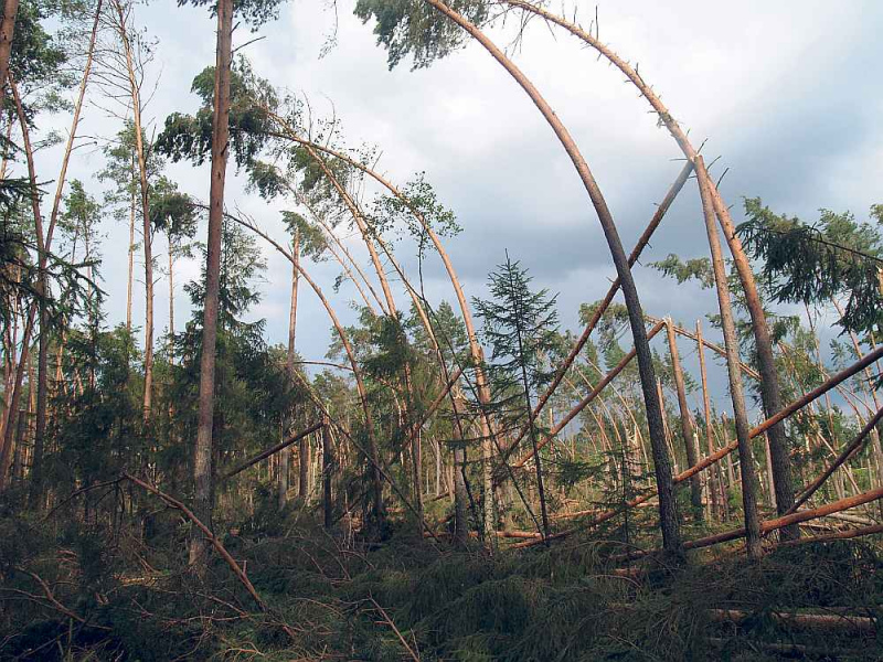 Latvijai tuvojas postošākā vētra pēdējos gados - Kurzemē sarkanais brīdinājums!!!