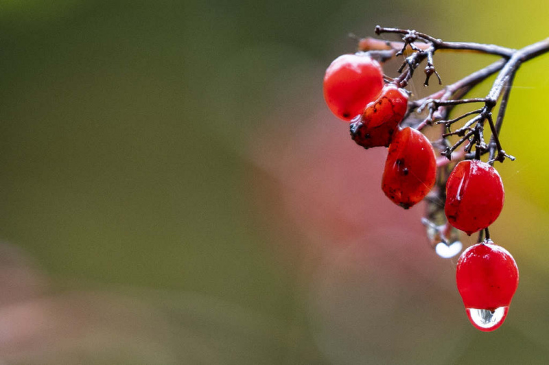 Šodien būs apmācies un lietains laiks Šodien būs apmācies un lietains laiks