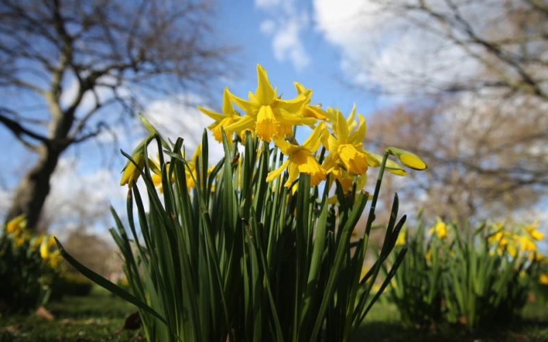 Šodien gaidāms sauss laiks; gaiss iesils līdz + 17 grādiem