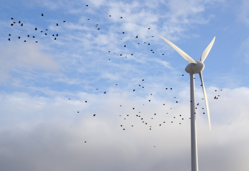 Tiesa atsāks skatīt “Pienava wind” vēja parku lietu; spriedums būs jūnijā