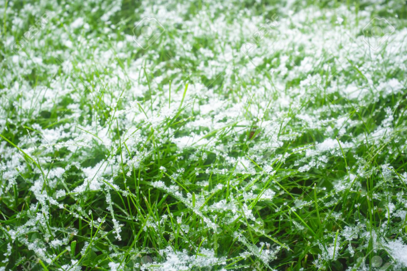 Nākamnedēļ gaidāms auksts laiks; dažbrīd līs, snigs un kritīs krusa