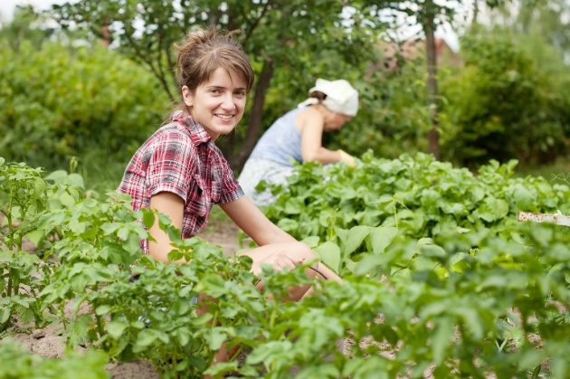 Ministrijā pieņemts lēmums tomēr organizēt skolēnu nodarbinātību vasarā