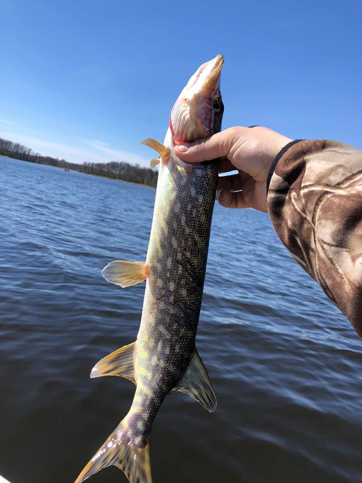 Šodien sākusies jaunā spiningošanas sezona | TUKUMABALSS.LV