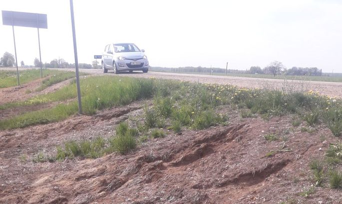 Apcietina vides piesārņotāju, kas Zemgalē izlaistījis indi ceļmalās