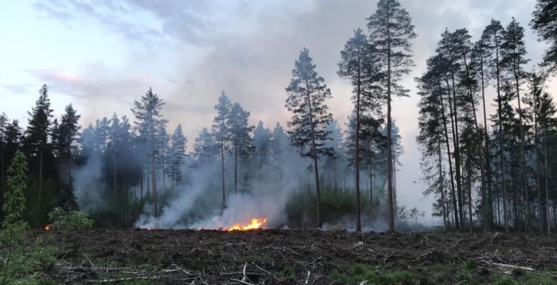 Kandavā turpinās bīstamā meža ugunsgrēka ierobežošana
