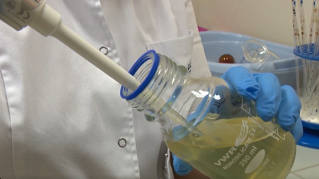 Latvijā veido biomateriālu, kas atjaunos audus un ļaus izvairīties no antiobiotiku lietošanas Latvijā veido biomateriālu, kas atjaunos audus un ļaus izvairīties no antiobiotiku lietošanas