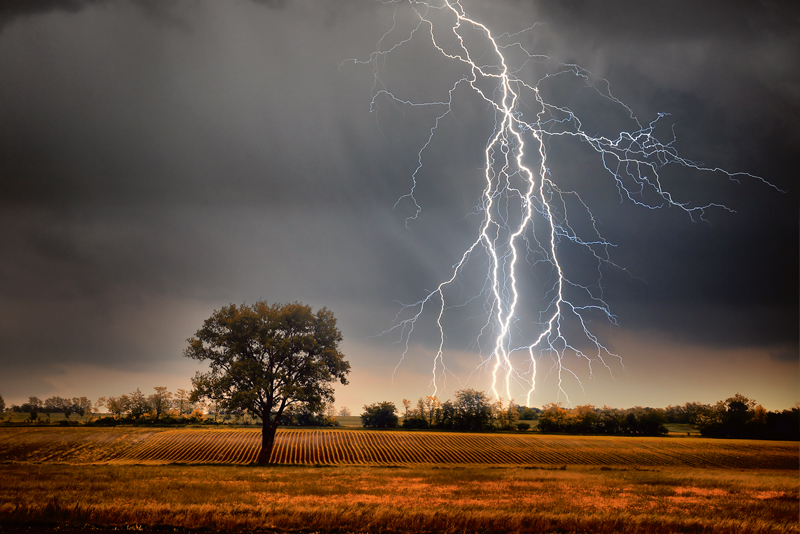 Jelgavas, Tukuma un Talsu apkārtnē traucēta elektrības piegāde vairākiem tūkstošiem klientu Jelgavas, Tukuma un Talsu apkārtnē traucēta elektrības piegāde vairākiem tūkstošiem klientu