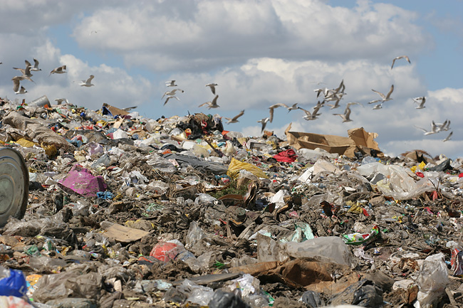 Noslēdzies lielais audits "PIEJŪRĀ", Jaunā valde varētu vērsties Finanšu policijā