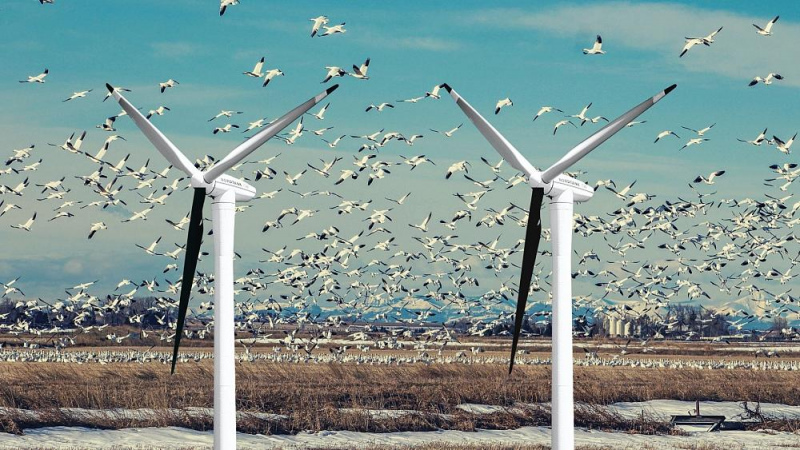 Tiesa lēmusi apmierināt SIA "Pienava wind" pieteikumu par vēja elektrostaciju parka būvniecību Tukuma novadā
