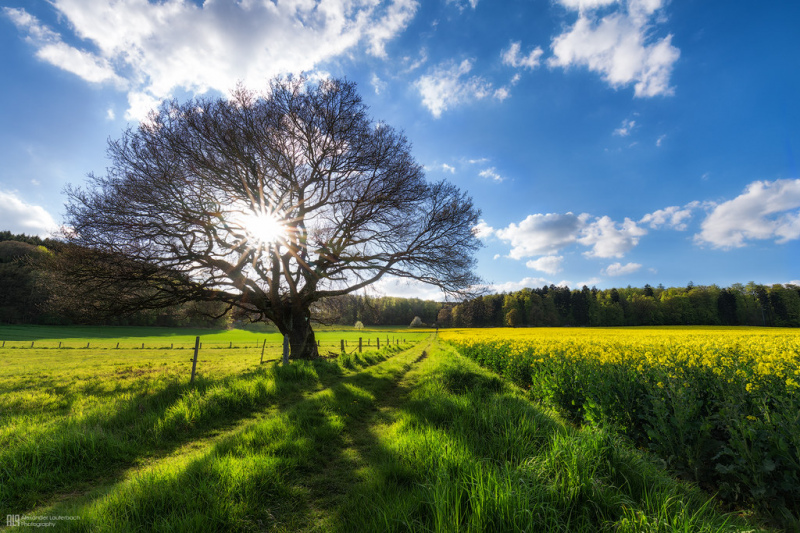15. jūlija diena būs siltākā diena pēdējo divu nedēļu laikā