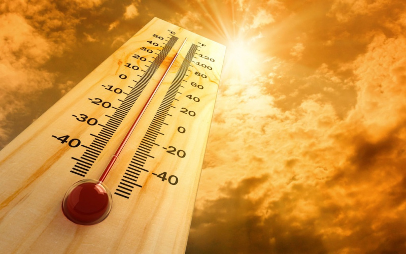 Prognoze: nākamnedēļ temperatūra Latvijā var sasniegt +35 grādus Prognoze: nākamnedēļ temperatūra Latvijā var sasniegt +35 grādus