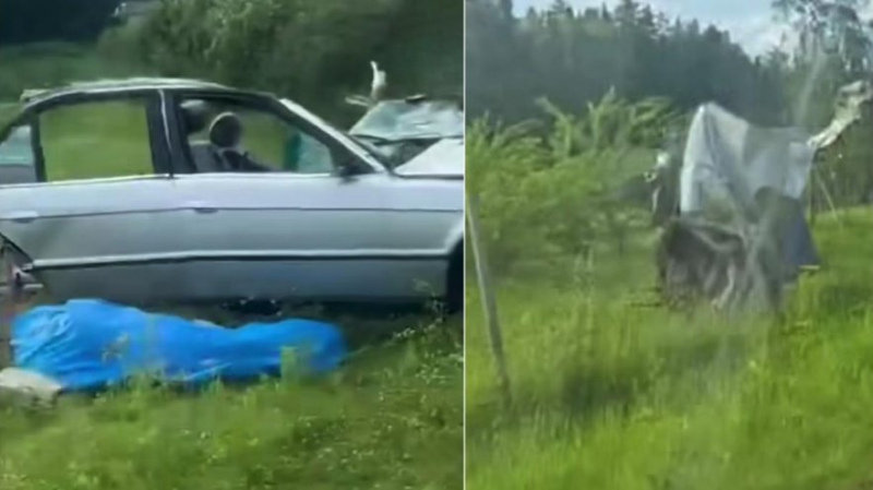 Trīs bojāgājušie BMW automašīnas avārijā Engures pagastā (PAPILDINĀTS) Trīs bojāgājušie BMW automašīnas avārijā Engures pagastā (PAPILDINĀTS)