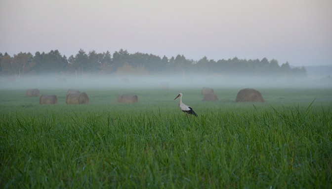 Sinoptiķi sagatavojuši laika prognozi tuvākajai nedēļai