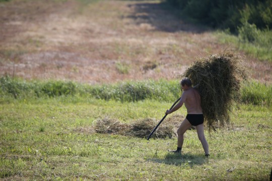 Kaņiera ezera krastos notiks sezonas pēdējā siena talka zāļu purvā