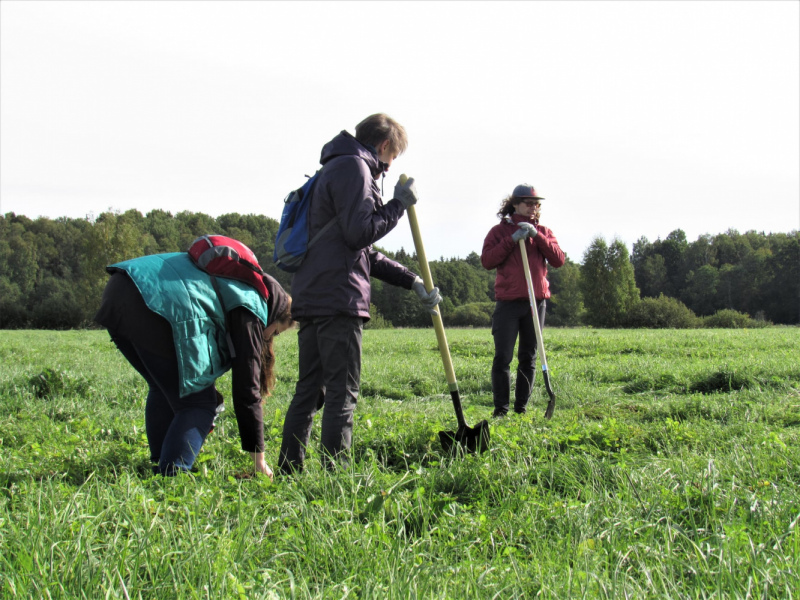 Ķemeru Nacionālajā parkā 5 hektāru platībā izmēģina bioloģiski vērtīgas pļavas atjaunošanu