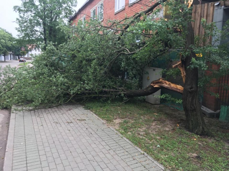 Svētdien visā Latvijā būs lietavas un plosīsies postoša vētra
