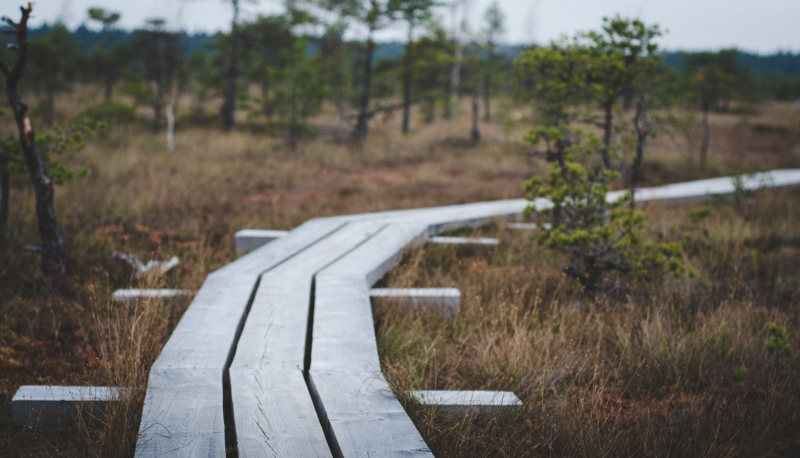 Jau desmito reizi Ķemeru Nacionālā parka Ceļotāju dienas aicina iepazīt dabas un kultūrvēstures bagātības