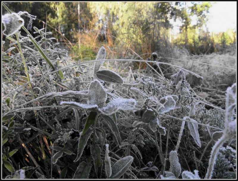 Nākamnedēļ termometra stabiņš noslīdēs līdz pat +5 grādiem