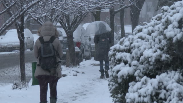 Sinoptiķi prognozē, ka ziema Eiropā gaidāma silta