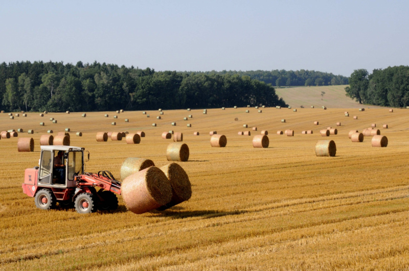 Mazās lauku saimniecības Latvijā uz iznīkšanas robežas
