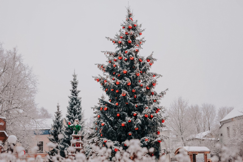Tukumā svētku egle Brīvības laukumā tiks iedegta jau šonedēļ uz Pirmo adventi Tukumā svētku egle Brīvības laukumā tiks iedegta jau šonedēļ uz Pirmo adventi
