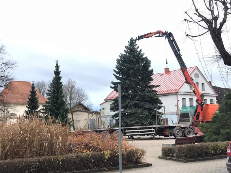Brīvības laukumā uzstādīta svētku eglīte Brīvības laukumā uzstādīta svētku eglīte