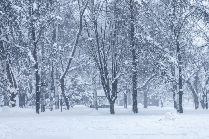 Tuvākās dienas Latvijā būs sniegotas