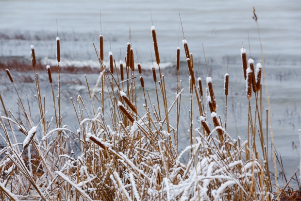 Pēc Ziemassvētkiem iespējams neliels sals