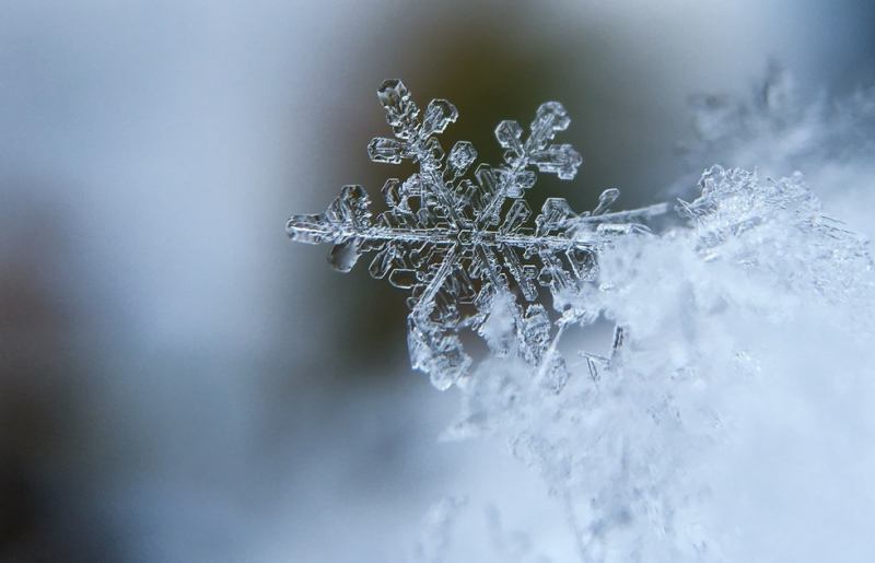 Laika prognoze uz Ziemassvētkiem: noturīgs sals nav gaidāms